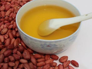 东莞全家福膳食粮油配送服务 价格详情与餐饮解决方案