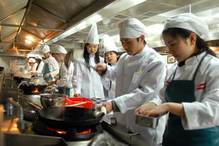 经院学子厉兵秣马，奥运餐饮服务备战纪实